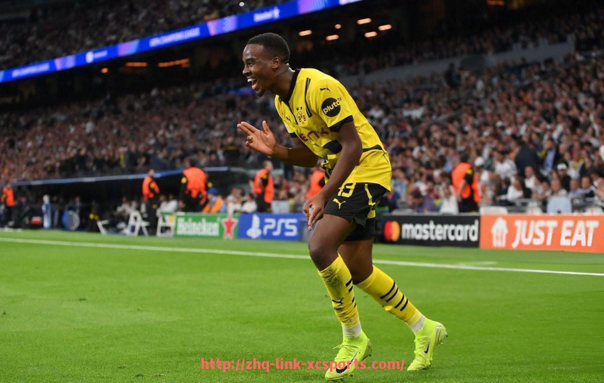 杏彩体育-拥有专业足球场的德甲球队汇总，球场设施对比赛有多重要？