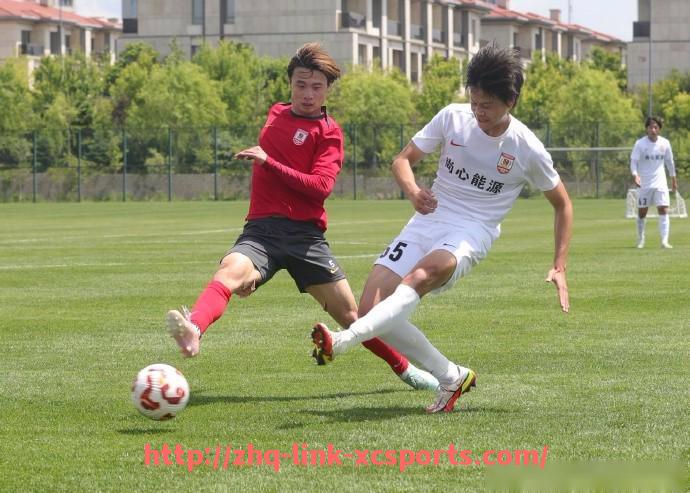 杏彩体育-法甲青训发展计划及人才培养体系介绍