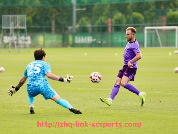 杏彩体育-世俱杯比赛中球员遭遇犯规次数统计与裁判尺度对比